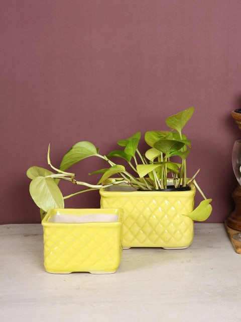 

Aapno Rajasthan Set of 2 Yellow Textured Box Shaped Planter Pots