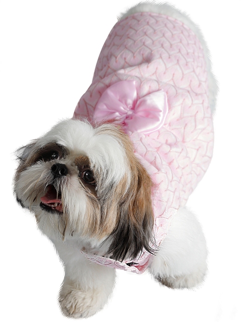

Dchica Paws Pastel Pink & White Bow Applique Dress For Dogs, Puppies & Cats