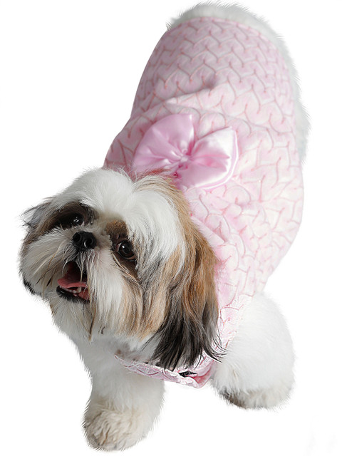 

Dchica Paws Peach & White Self Design Dog Dress