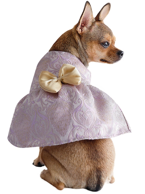 

Dchica Paws Lavender & Grey Self-Design Handmade Applique Dog Dress