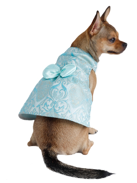 

Dchica Paws Blue Self-Design Handmade Applique Dog Dress