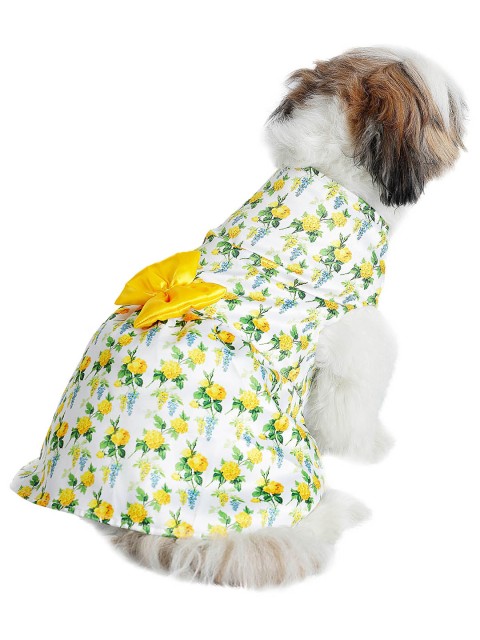 

Dchica Paws White & Yellow Printed Dog Dress