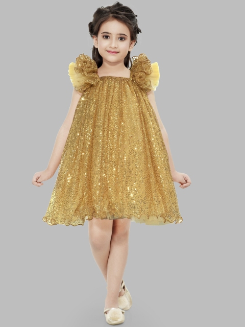 

Pink Chick Gold-Toned Net A-Line Dress