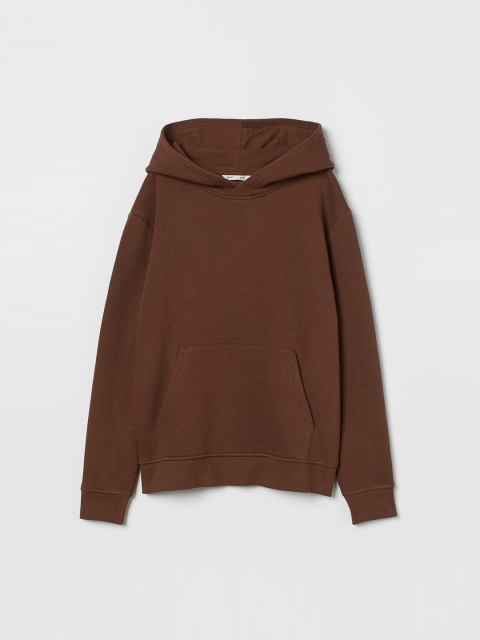 

H&M Boys Brown Hooded top