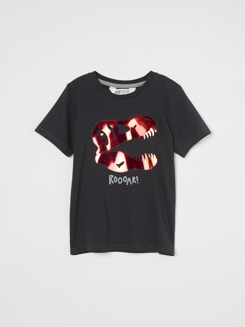 

H&M Boys Grey Conversational Printed Motif T-shirt