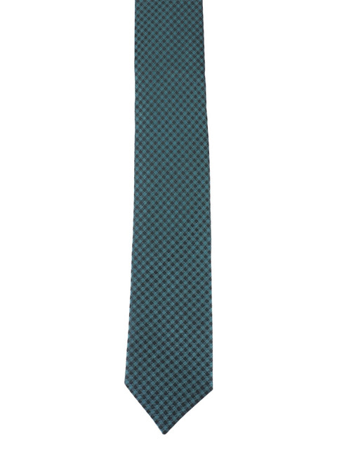

Alvaro Castagnino Men Turquoise Blue & Black Checked Skinny Tie