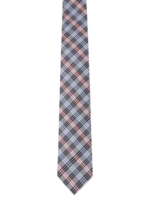 

Alvaro Castagnino Men Grey & Blue Checked Skinny Tie