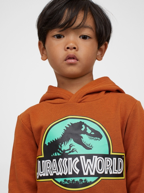 

H&M Kids Boys Rust & Black Jurassic World Printed Hoodie