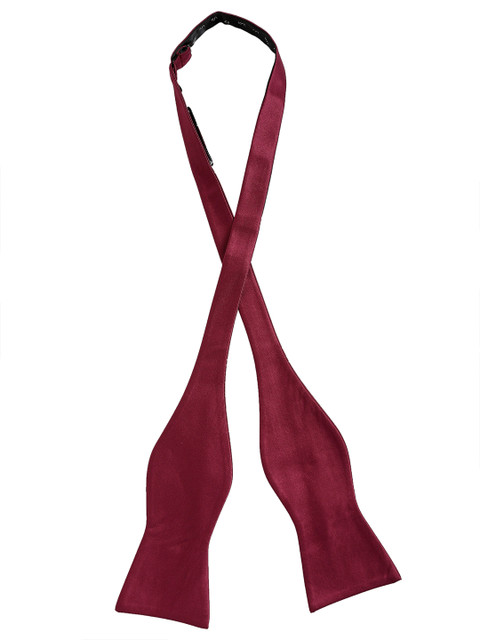 

Alvaro Castagnino Men Maroon Bow Tie