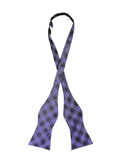 

Alvaro Castagnino Men Purple & Black Checked Bow Tie