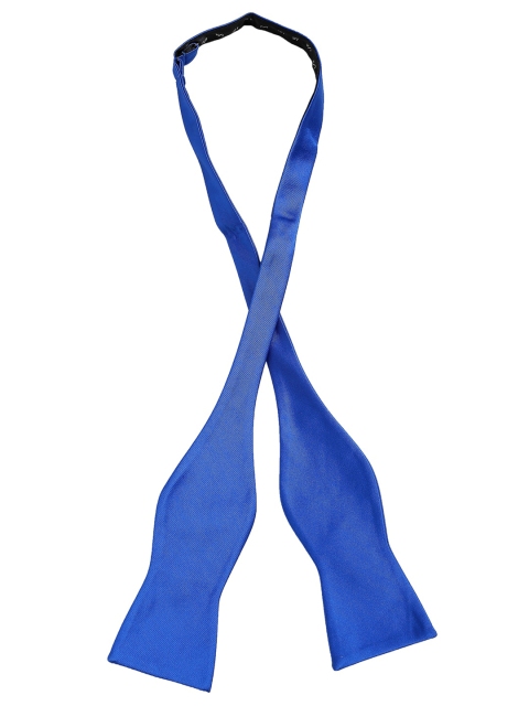 

Alvaro Castagnino Men Blue Solid Bow Tie
