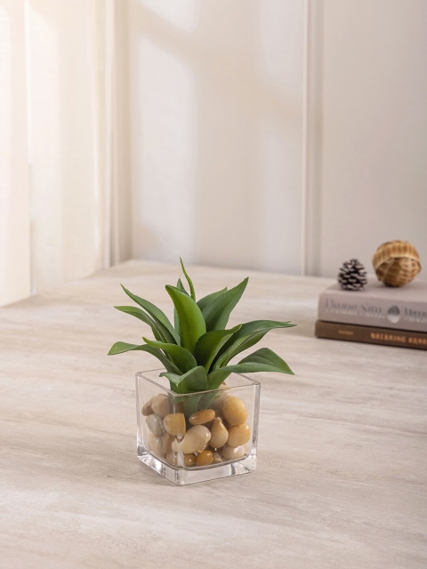 

Pure Home and Living Green Agave in Glass Vase with Stone