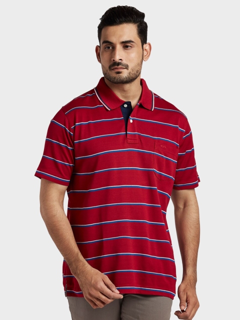 

ColorPlus Men Red & Blue Striped Polo Collar T-shirt