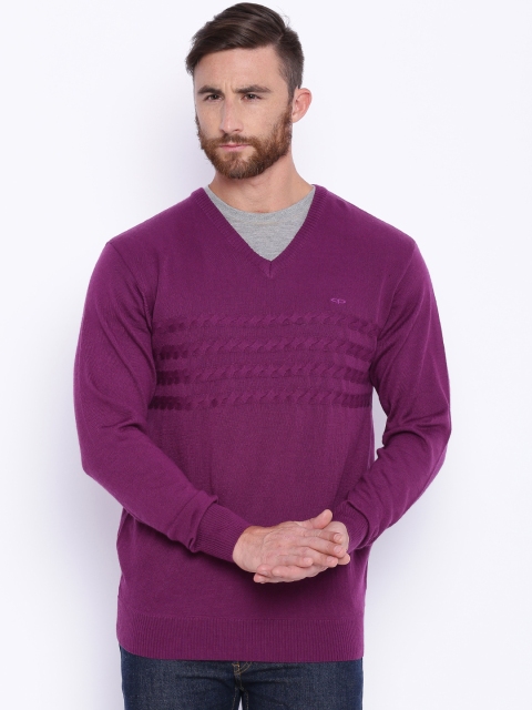 ColorPlus Men Purple Sweater