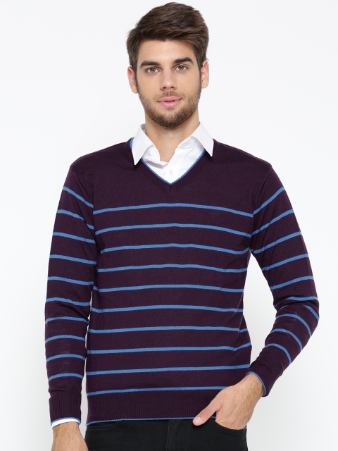 

ColorPlus Men Purple & Blue Striped Sweater