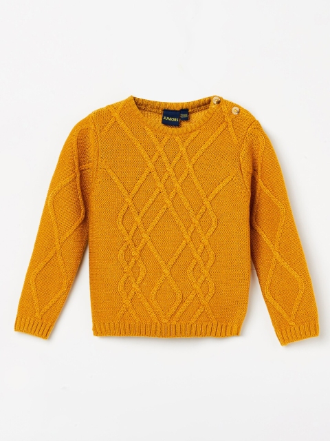 

Juniors by Lifestyle Boys Mustard Pullover