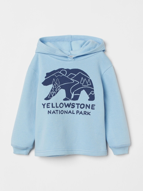 

H&M Boys Blue Printed Hoodie