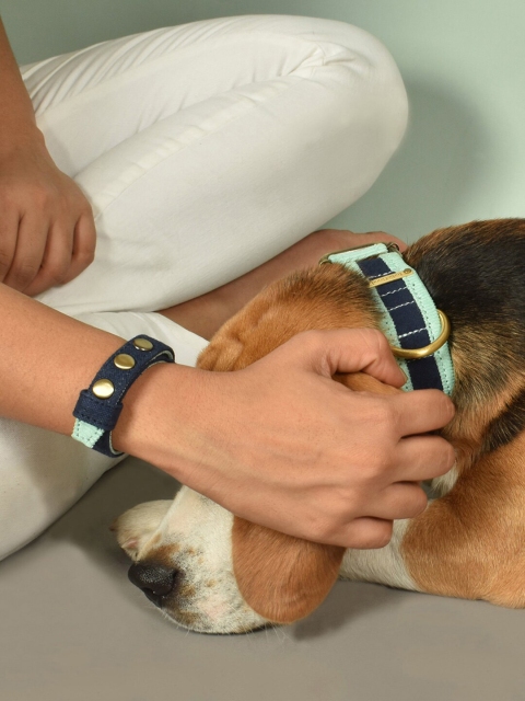 

IndieGood Matching Set Blue & Green Solid Pet Collar with Bond collar for humans
