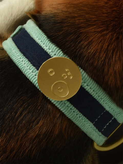 

IndieGood Corduroy Blue Solid Pet Collar with Pin