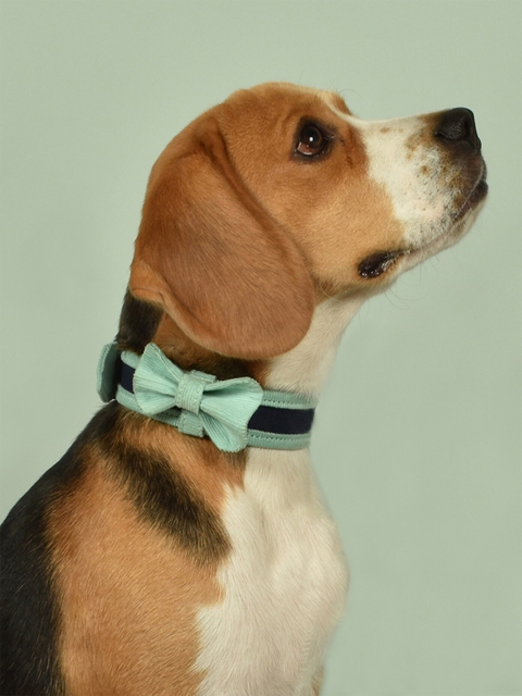 

IndieGood Corduroy Blue Dog Collar set with Bow Tie