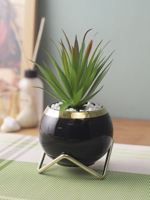 

House Of Accessories Green & Black Potted Plant