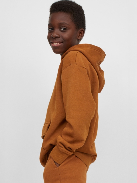 

H&M Boys Brown Solid Hooded Top