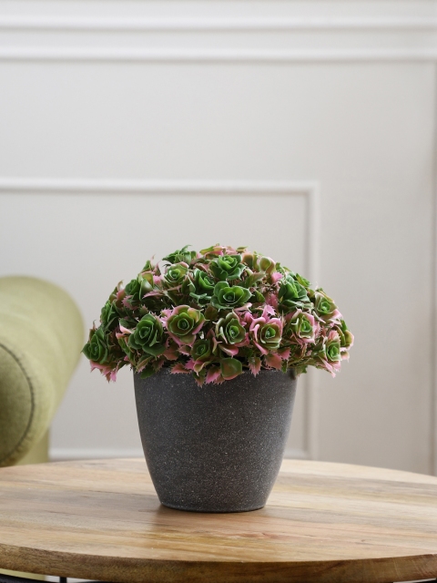 

FOLIYAJ Artificial Green & Pink Roses Plant With Pot