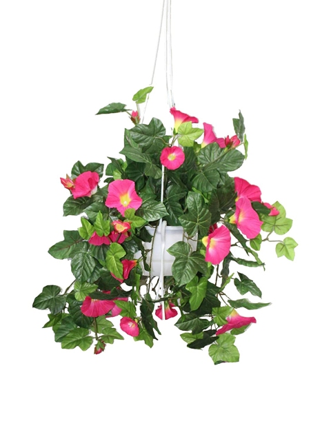 

PolliNation Pink & Green Artificial Creeper With Fiber Pot