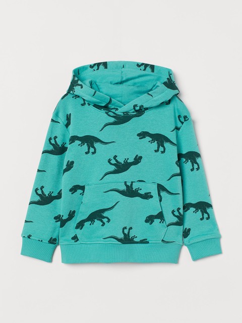 

H&M Boys Green Hooded Top