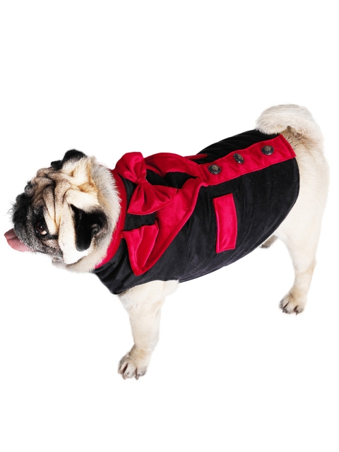 

Dchica Paws Black & Red Colourblocked Dog Tuxedo