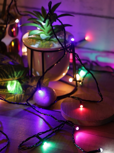 

Abode Multicoloured Rice Shaped String Lights - 5 Meters, Multi