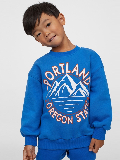 

H&M Boys Blue Printed Sweatshirt