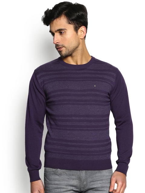 

Blackberrys Men Purple Striped Sweater
