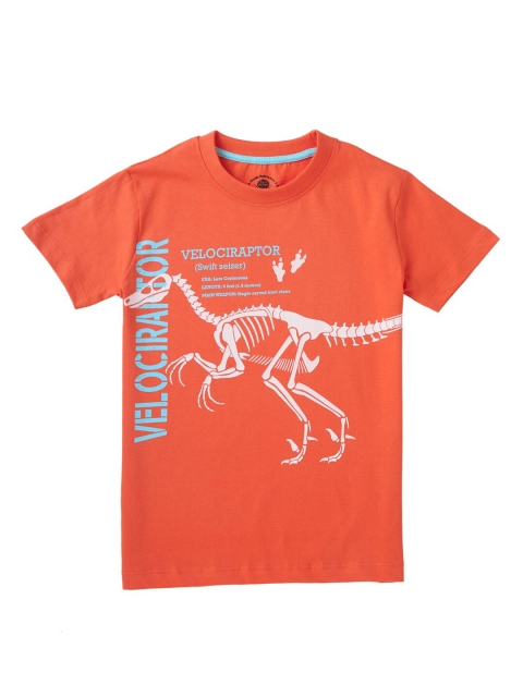 

Cub McPaws Boys Orange Printed T-shirt