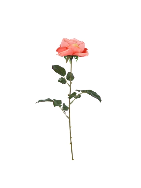 

HomeTown Peach Rose Stem with Leaf