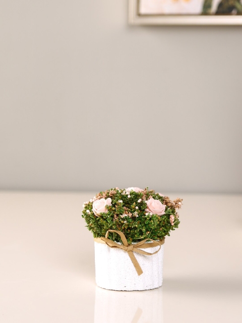 

HomeTown Peach Mini Rose in EPS Planter