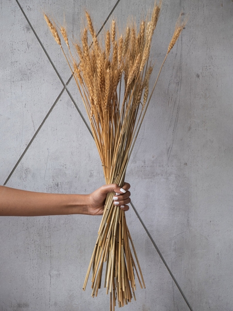 

happywagon 40 Pieces Beige Wheat Grass Stems