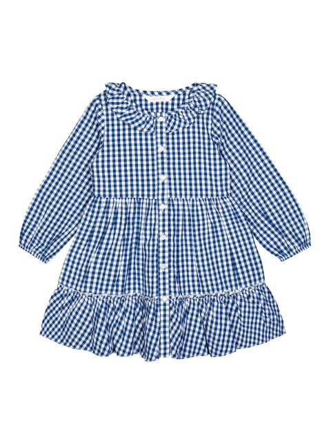 

Budding Bees Blue & White Checked Dress