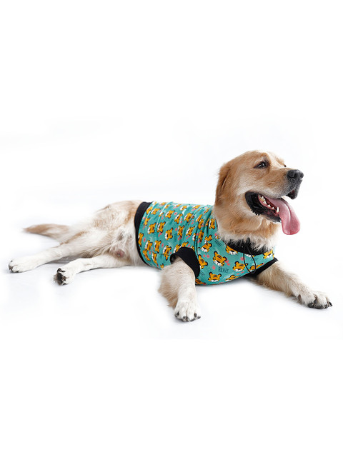 

Dchica Paws Green & Yellow Graphic Printed Cotton Dog T-shirt