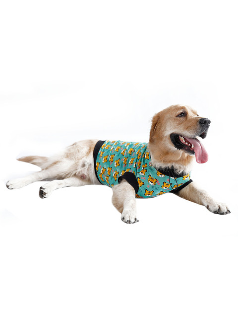 

Dchica Paws Sea Green & Yellow Tiger Printed Cotton Dog T-shirt