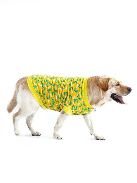 

Dchica Paws Yellow & Blue Graphic Cotton Dog T-shirt