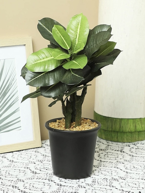 

PolliNation Green Artificial Bonsai with Ceramic Pot