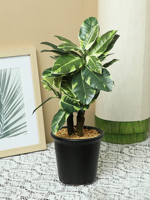 

PolliNation Green & White Artificial Bonsai with Ceramic Pot