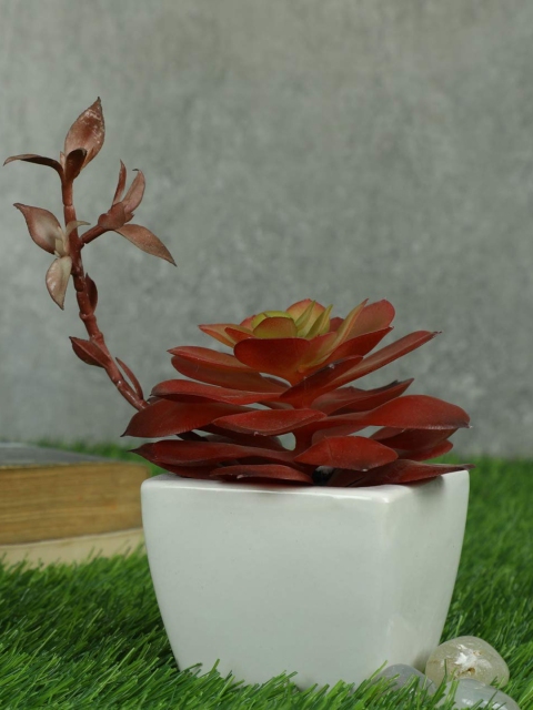 

PolliNation Red & White Artificial Flower With Pot