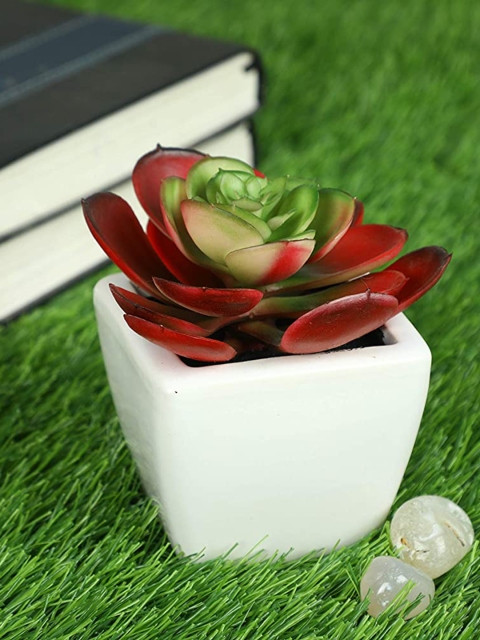 

PolliNation Red & Green Artificial Potted Succulent Bonsai