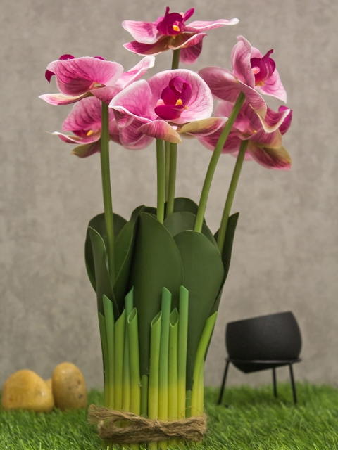 

PolliNation Pink & Green Artificial Orchid Flower Bunch