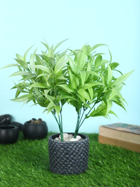 

PolliNation Frosted Artificial Green Bunch Without Pot Pack of 2