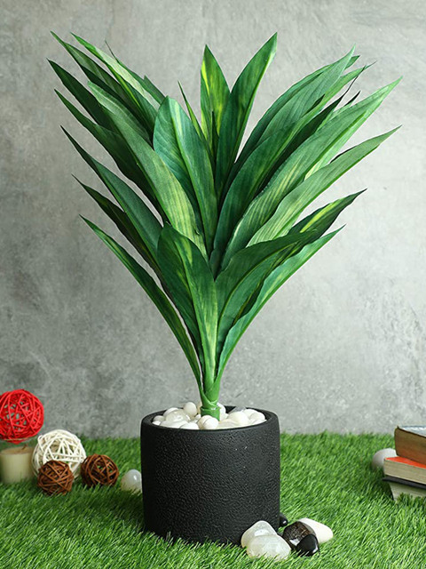 

PolliNation Green Artificial Dracaena Plant Without Pot