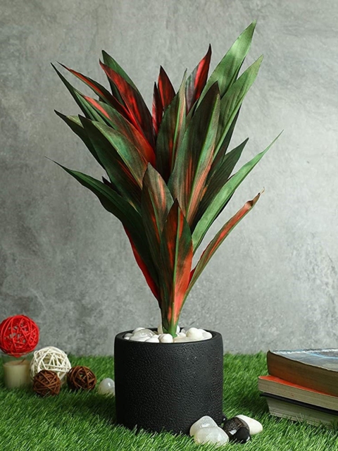 

PolliNation Red & Green Dracaena Artificial Plant Without Pot