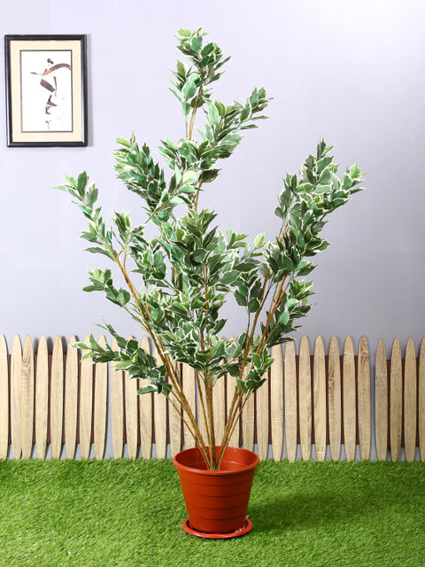 

PolliNation Premium Artificial Variegated Ficus Plant Without Pot, White